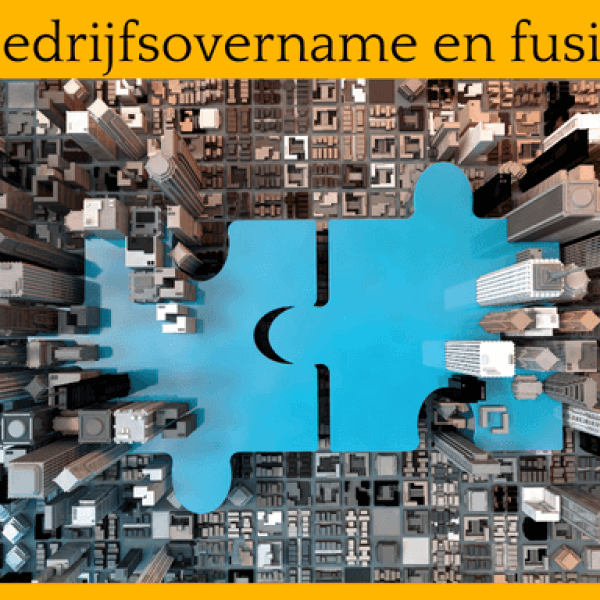 Bedrijfsovername en fusie 2