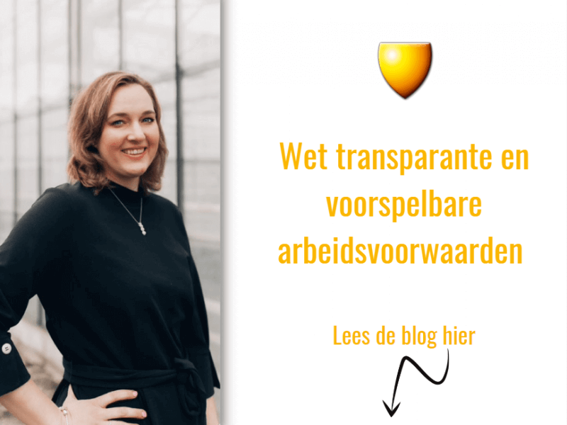 Blog Wet transparante en voorspelbare arbeidsvoorwaarden